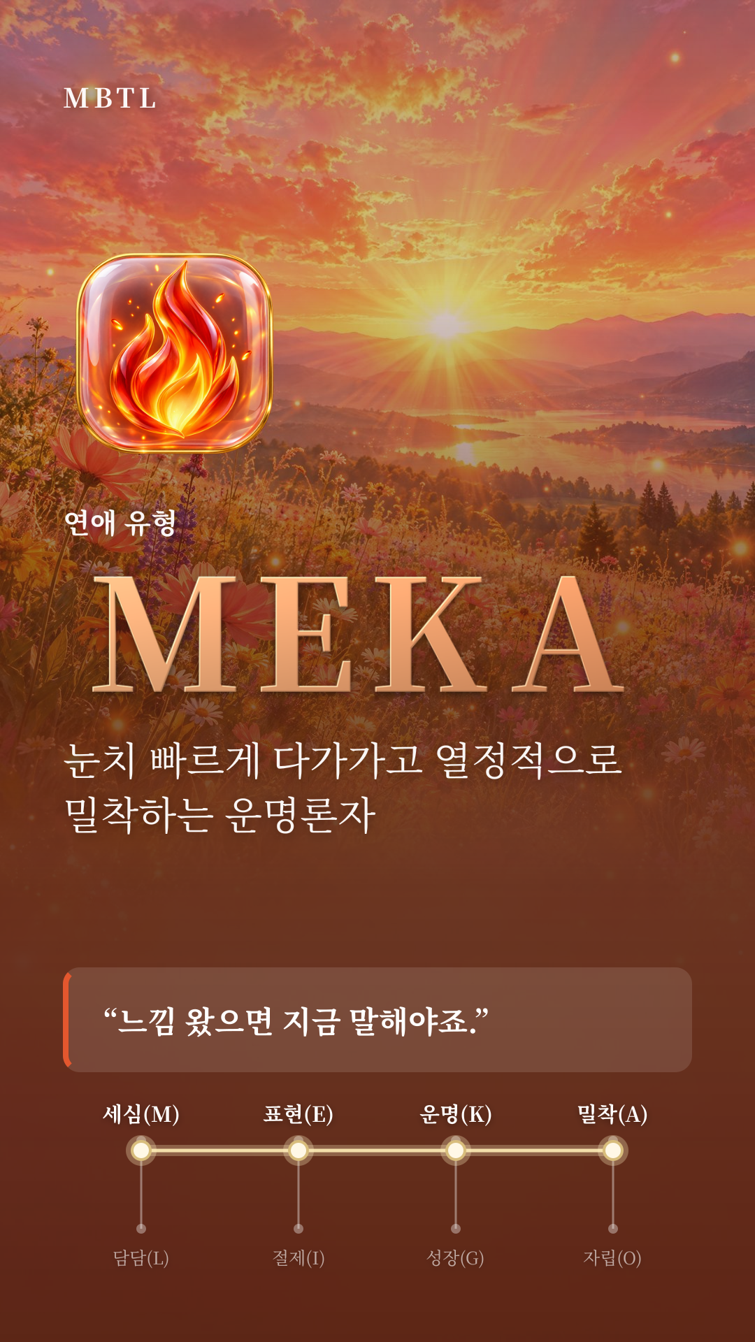 타오르는 불꽃 MEKA 유형 카드